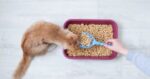 Наполнитель для Животных 15 кг — изображение 3